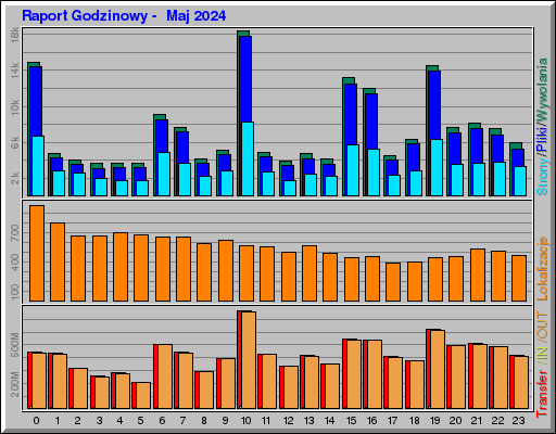 Raport Godzinowy -  Maj 2024