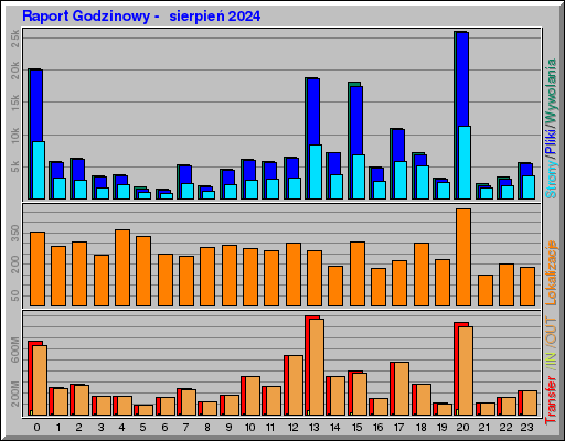 Raport Godzinowy -  sierpień 2024