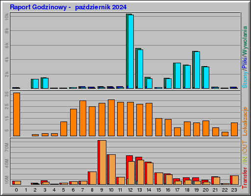 Raport Godzinowy -  październik 2024