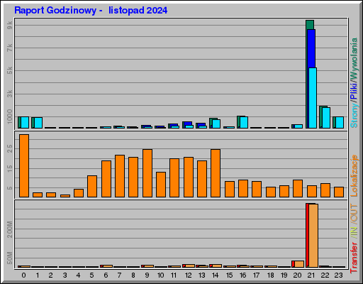 Raport Godzinowy -  listopad 2024