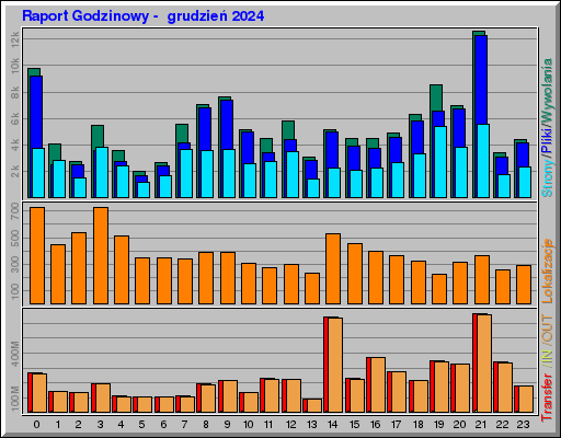 Raport Godzinowy -  grudzień 2024