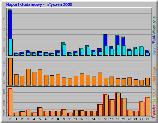 Raport Godzinowy -  styczeń 2025