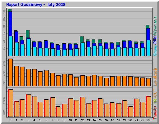 Raport Godzinowy -  luty 2025