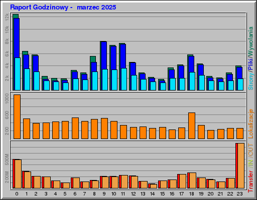 Raport Godzinowy -  marzec 2025