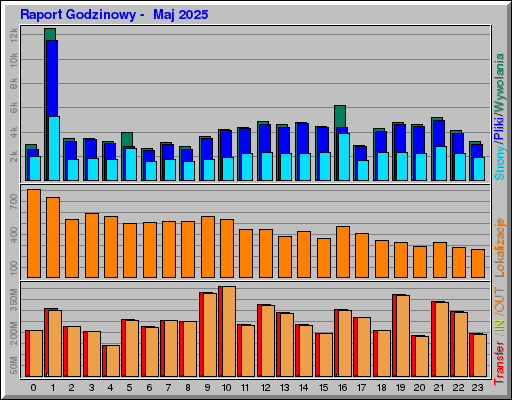 Raport Godzinowy -  Maj 2025