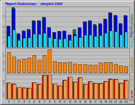 Raport Godzinowy -  sierpień 2025