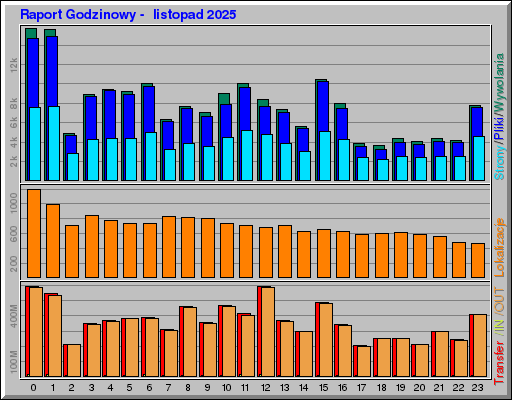 Raport Godzinowy -  listopad 2025