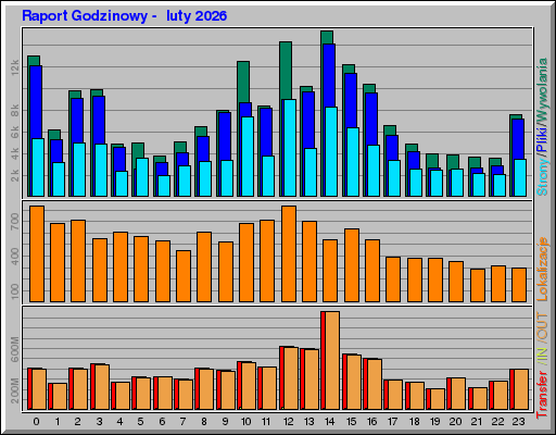 Raport Godzinowy -  luty 2026