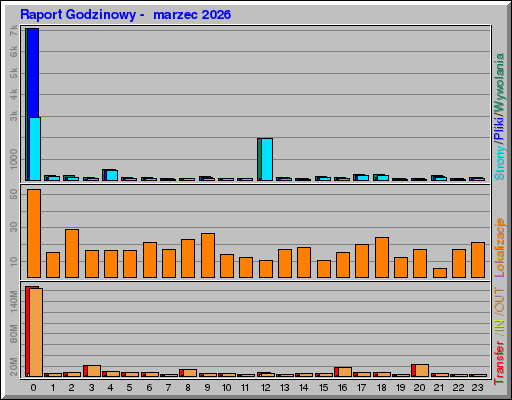 Raport Godzinowy -  marzec 2026