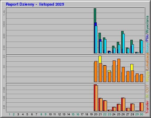 Raport Dzienny -  listopad 2025
