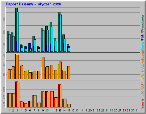 Raport Dzienny -  styczeń 2026