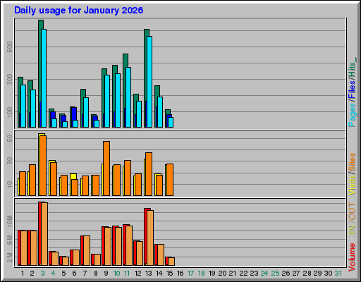Raport Dzienny -  styczeń 2026