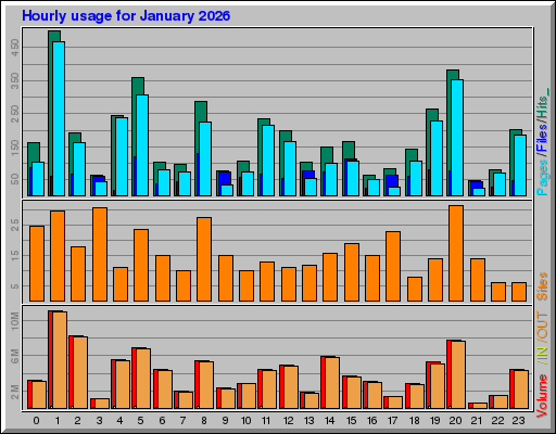 Raport Godzinowy -  styczeń 2026