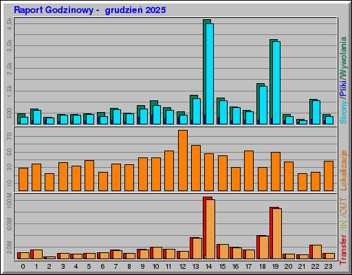 Raport Godzinowy -  grudzień 2025
