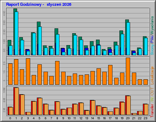 Raport Godzinowy -  styczeń 2026