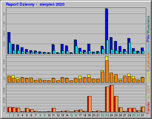 Raport Dzienny -  sierpień 2020