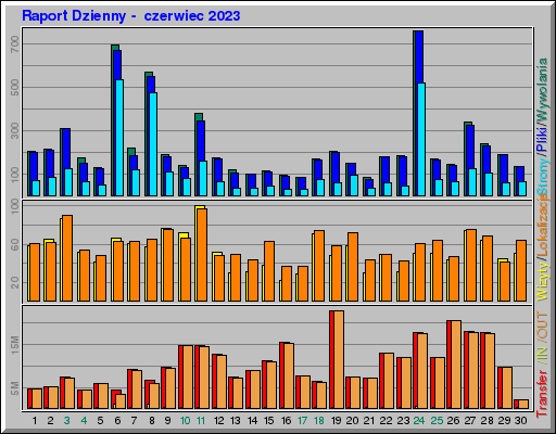 Raport Dzienny -  czerwiec 2023