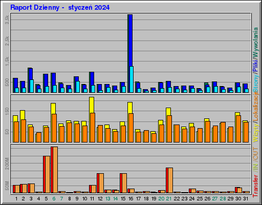 Raport Dzienny -  styczeń 2024