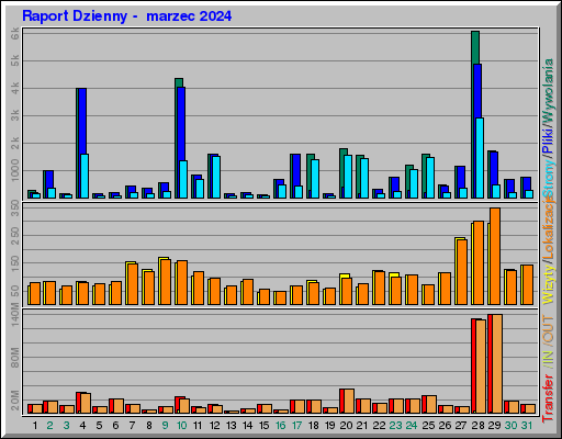 Raport Dzienny -  marzec 2024