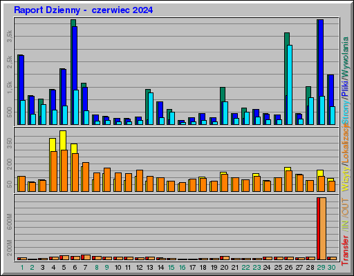 Raport Dzienny -  czerwiec 2024