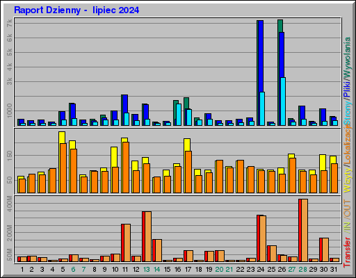 Raport Dzienny -  lipiec 2024