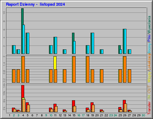 Raport Dzienny -  listopad 2024