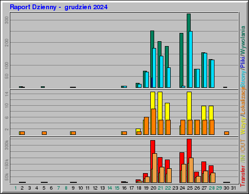 Raport Dzienny -  grudzień 2024