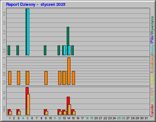 Raport Dzienny -  styczeń 2025