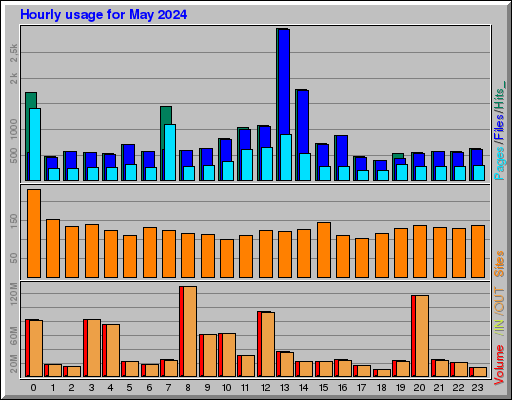 Raport Godzinowy -  Maj 2024