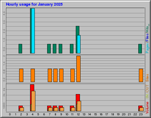 Raport Godzinowy -  styczeń 2025