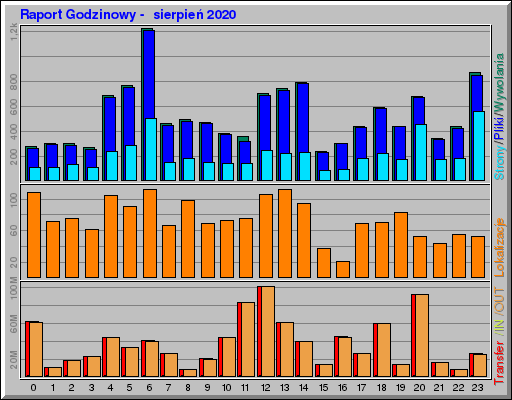 Raport Godzinowy -  sierpień 2020