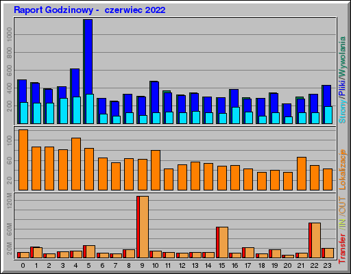 Raport Godzinowy -  czerwiec 2022
