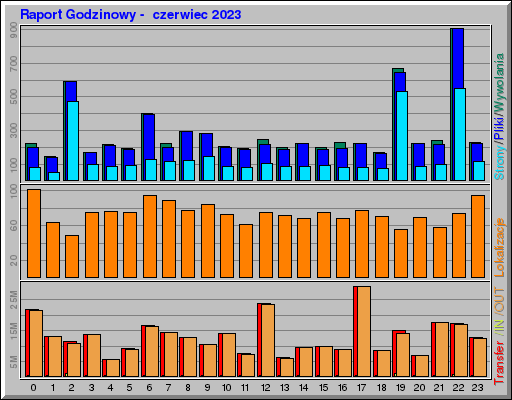 Raport Godzinowy -  czerwiec 2023