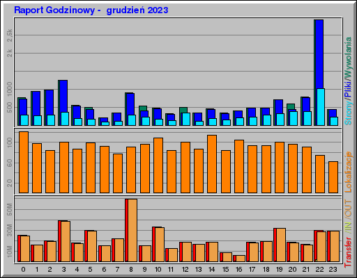 Raport Godzinowy -  grudzień 2023