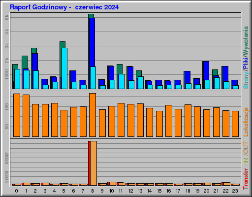 Raport Godzinowy -  czerwiec 2024