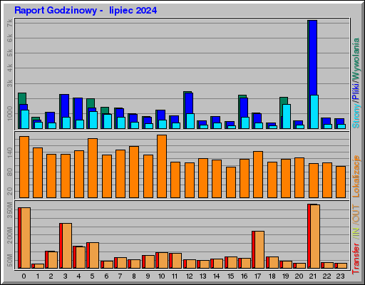 Raport Godzinowy -  lipiec 2024