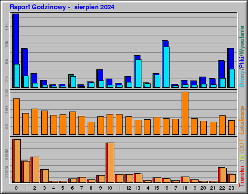 Raport Godzinowy -  sierpień 2024