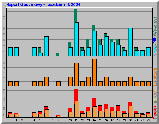 Raport Godzinowy -  październik 2024