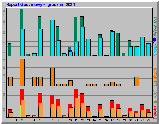 Raport Godzinowy -  grudzień 2024