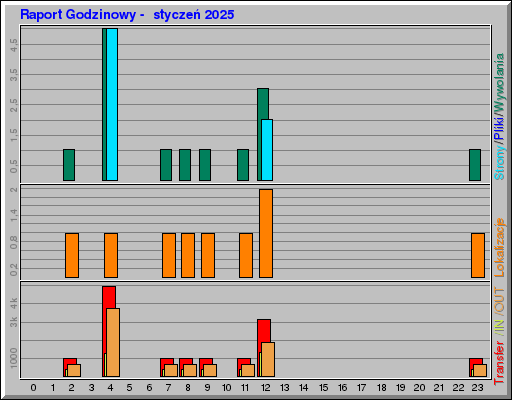 Raport Godzinowy -  styczeń 2025