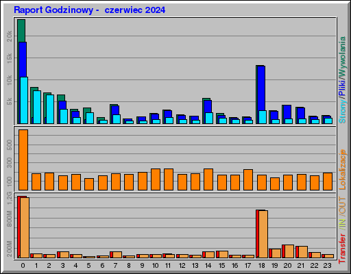 Raport Godzinowy -  czerwiec 2024