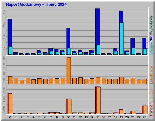 Raport Godzinowy -  lipiec 2024