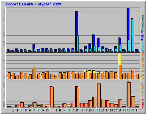 Raport Dzienny -  styczeń 2023