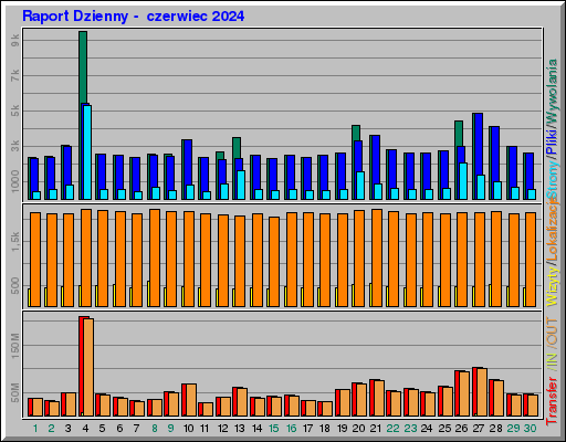 Raport Dzienny -  czerwiec 2024