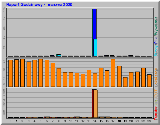 Raport Godzinowy -  marzec 2020