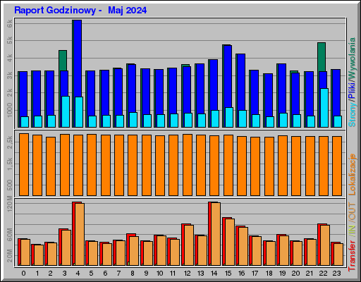 Raport Godzinowy -  Maj 2024