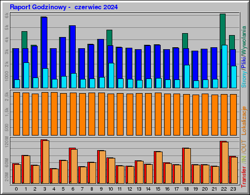 Raport Godzinowy -  czerwiec 2024