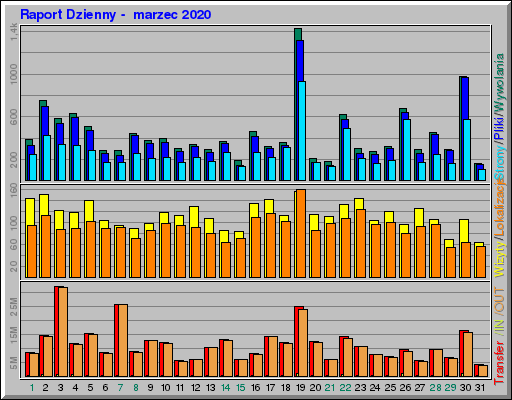 Raport Dzienny -  marzec 2020