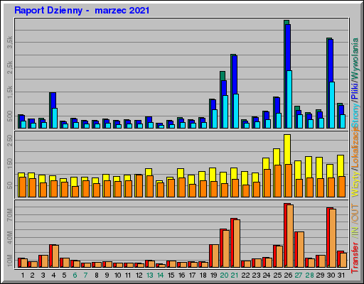 Raport Dzienny -  marzec 2021