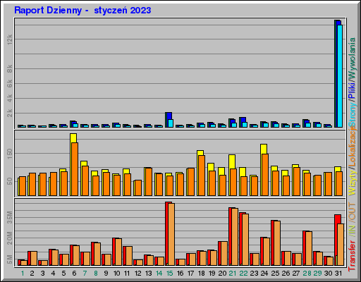 Raport Dzienny -  styczeń 2023